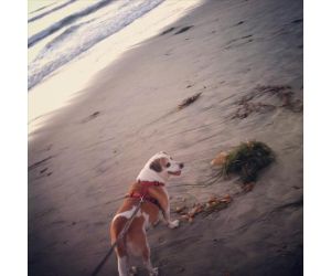 link.php?email=&zid=&tag=&source=&affid=